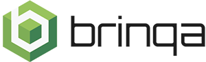 Brinqa Logo